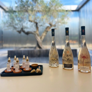 design-sans-titre-13