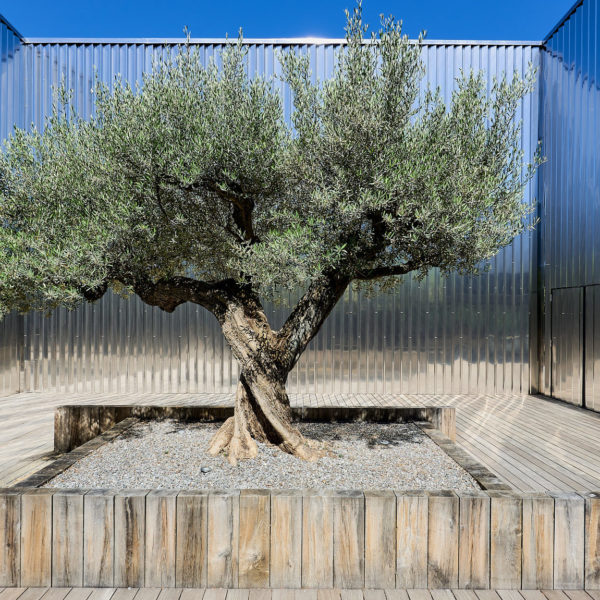 OriginalSizeJPEG al21 csm archi paysage 040 WEB edited