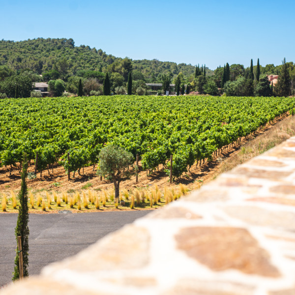 matthieuchatonnier-caveau-archi-hypnose-25