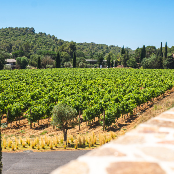 matthieuchatonnier-caveau-archi-hypnose-25