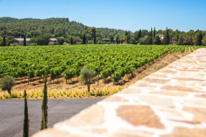 matthieuchatonnier-caveau-archi-hypnose-25-300x200