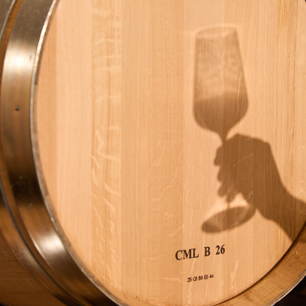 CSM VENDANGES RSIMONEAU 004 237 PREVIEW